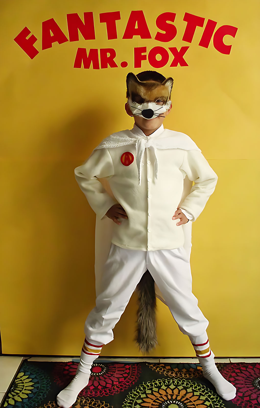 DIY Fantastic Mr. Fox Halloween Costume